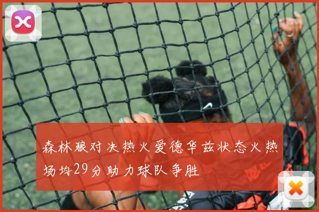 森林狼对决热火爱德华兹状态火热场均29分助力球队争胜