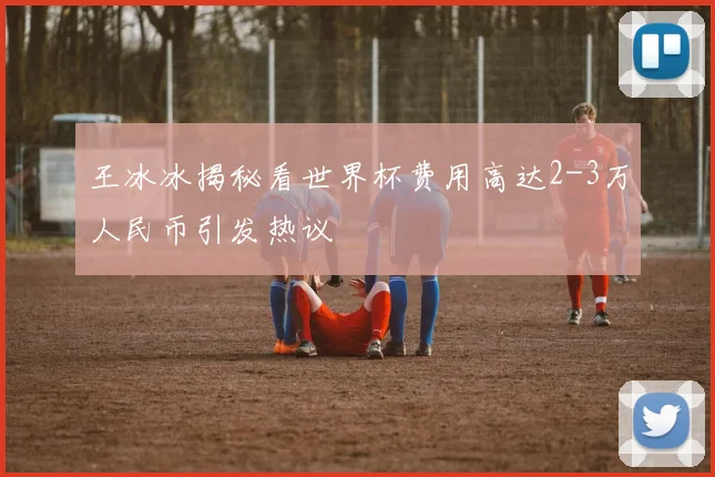 王冰冰揭秘看世界杯费用高达2-3万人民币引发热议